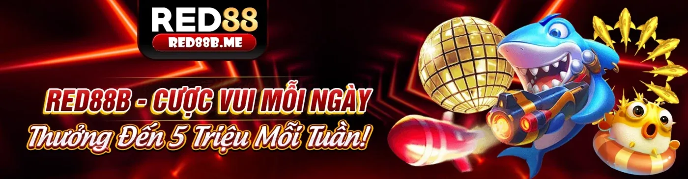 Hình ảnh chính blog abc8 link vào